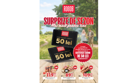 Promoții în magazinele ROGOB